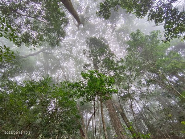 屋我尾山（麗陽）夏日汛期溪水限定版1765145