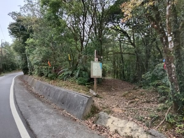 雙溪區打鐵寮山-鶯子嶺-坪溪山-烏山63號-烏山越嶺古道(坪溪山北峰)P字走3023820