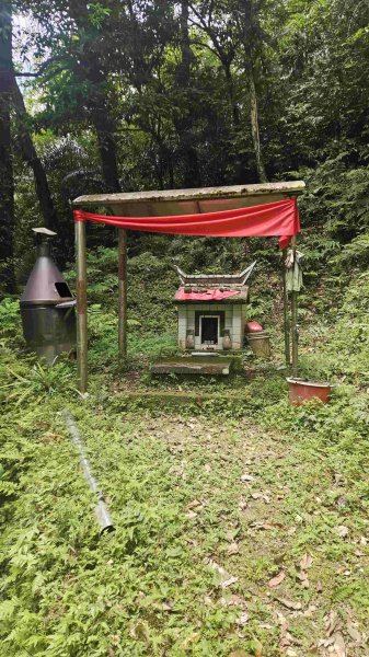 20250523千階嶺步道-平湖東西步道-乾坑古道2796216