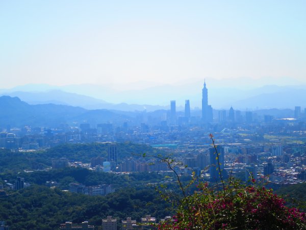 龍年首登的好選擇，鯉躍龍門，搭捷運來內湖爬三尖，鯉魚山、忠勇山、圓覺尖2426495
