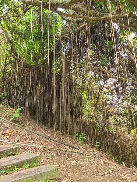 大坑6號上+8號探路+7號下2771415