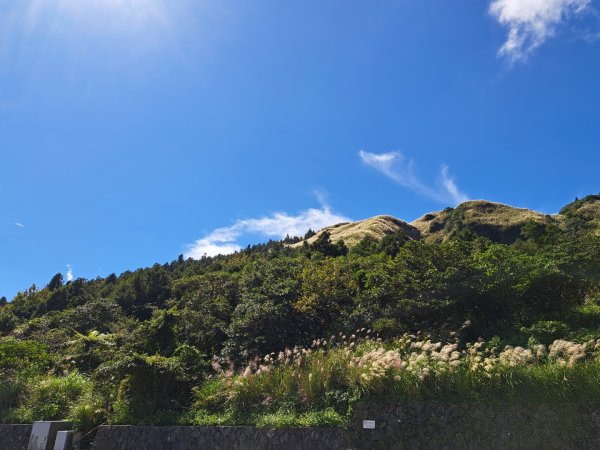 小百岳集起來大屯主峰，七星峰主峰，東峰步道3135724