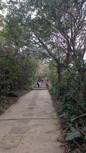 劍潭山親山步道2676453