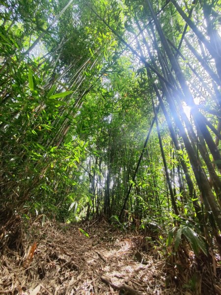 石碇鱷魚島-草湳二格山2786763