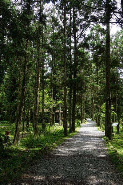 生態豐富的福山植物園1332772