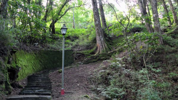 阿里山森遊區-祝山,對高岳步道2536983