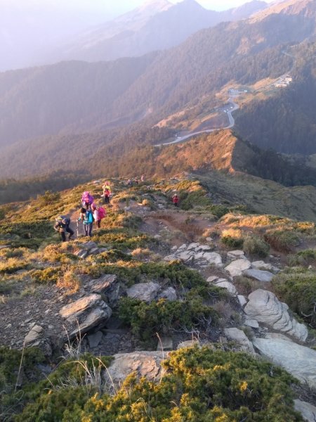 合歡山五座百岳賞杜鵑花587101