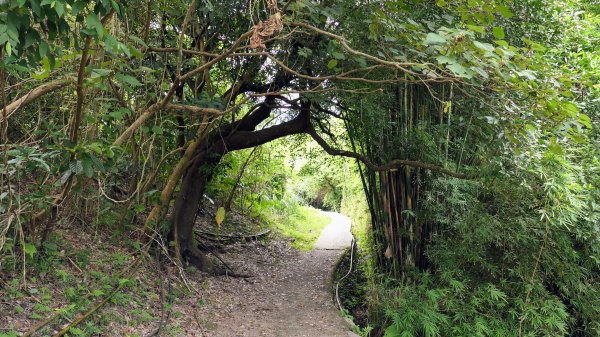 玉田古道,大湖越嶺保甲路2582300