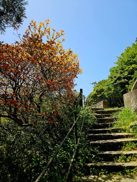 2025年臺北大縱走第二段： 二子坪至小油坑2763775