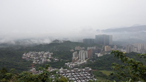 霧染大尖3074584