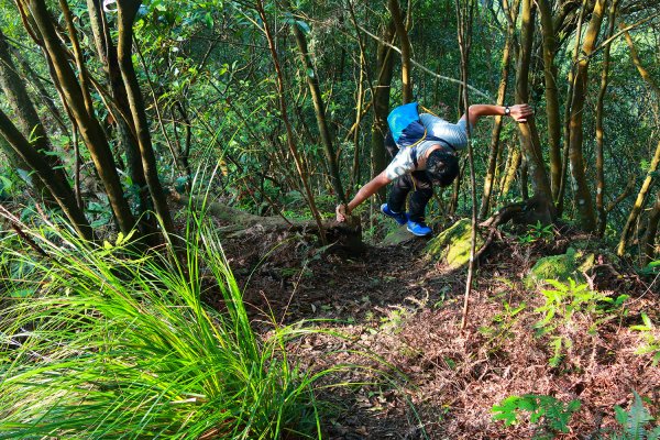 【紀錄】五指山支稜接頂山石梯嶺下上磺溪