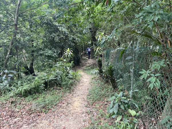 [微笑山線_第五段] 2025_0705 天上山系_南勢角山2830426