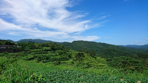 福隆．遠望坑．草嶺古道．桃源谷．大溪49567