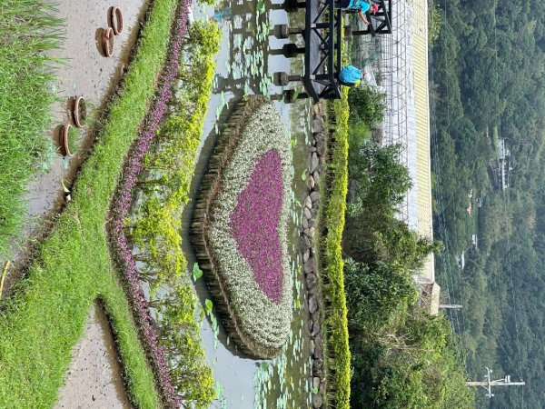 台北大縱走43140250