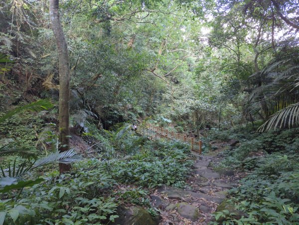 2025.11.15－鳴鳳古道2942989