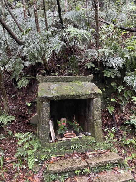 台北大縱走第四段2798716