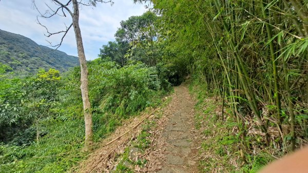 20240305坪頂古圳-登峰圳-內雙溪古道-瑪礁古道-大崎頭步道O繞2447166