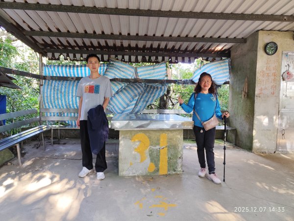 【臺北大縱走 5】碧山巖→忠勇山越嶺步道→金龍產業道路→圓明寺步道→鄭成功廟→潛園→格物台→劍潭古寺2958981