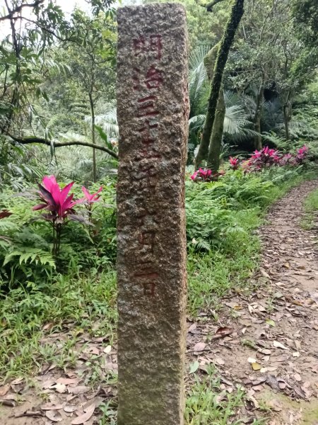 基隆市總督府(嶺)步(古)道-五坑山-五坑湖3038931