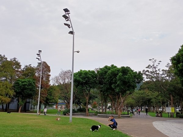 大湖公園 - 消防人員救生艇訓練【走路趣尋寶】1924985