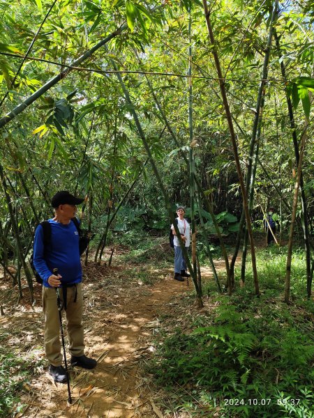 糶米古道→土地公嶺步道→世界山莊→軍功山→中埔山→福州山公園→富陽自然生態公園【淡蘭古道南路第一段】2618063