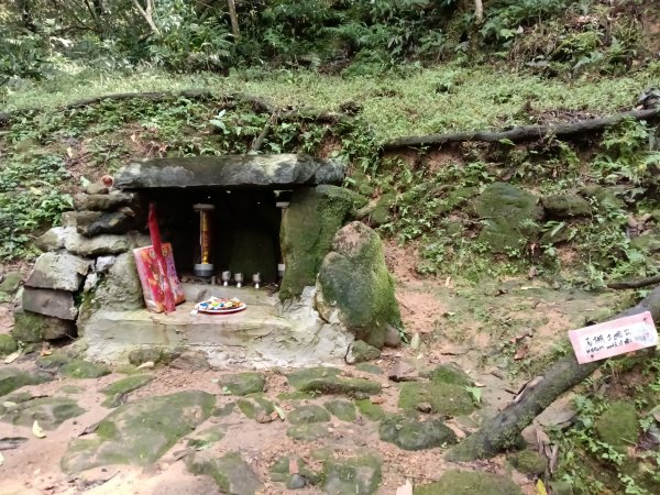 基隆市暖東舊道+頂子寮山+五分山步道(五分山)去回2946204