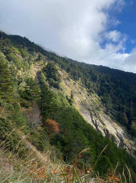 12月前進超級新手山-黃金草原 奇萊南華1213504