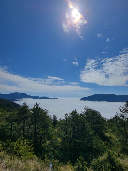 2026-0517-合歡北峰初探3066506