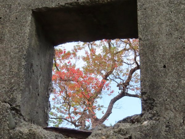 柴山探洞趣Ⅰ
