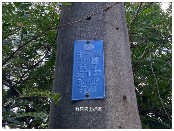 中坑山．石灰坑山．望湖山 連走2812977