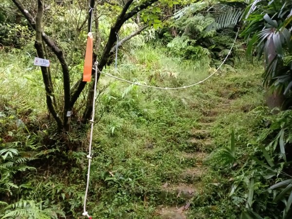 平溪區善覺寺步道+畝畝山北稜線+畝畝山+石硿子瀑布+灰窯瀑布O型2940014
