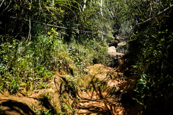 大屯山連峰步道｜陽明山小百岳2856266