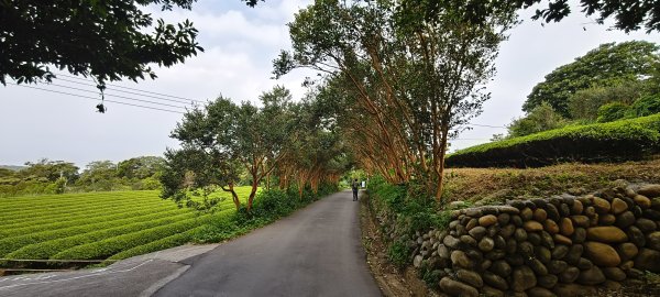 2025/08/17_三和晨光+石崎+背西步道O型2861570