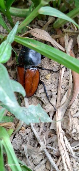 🌈10/19（日）雙石縱走（石牛+石門）✨FB：熊熊趴爬走🌈2921457