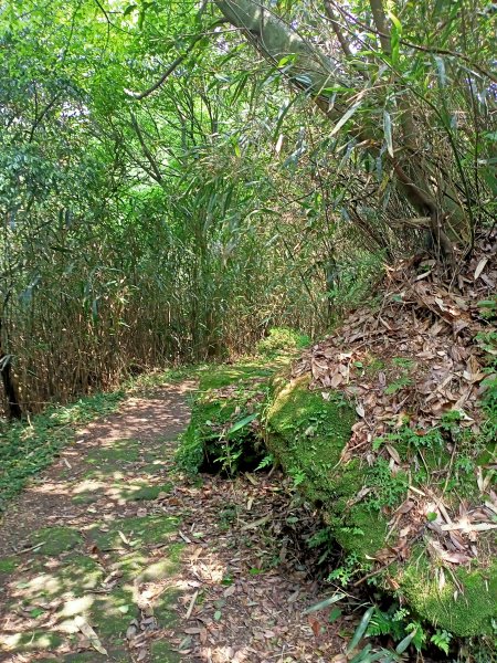 環七星山人車分道、百拉卡公路人車分道【走遍陽明山】2107381