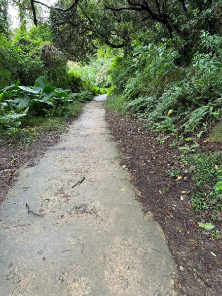 登頂領會如鳶高飛之鳶山1935707