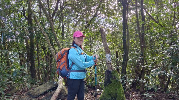 (姨婆趴趴走)第三十八集:攀登新北石碇小格頭獅頭山，探訪翡翠水庫的鱷魚島、千島湖、土虱頭景觀2416799