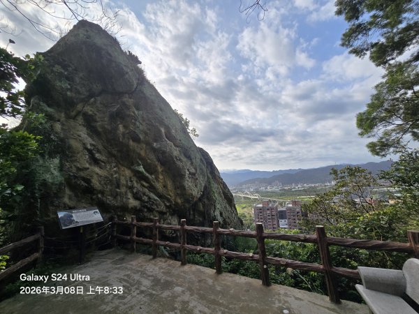 2026-03-08微笑山線：【大棟山系】百年大榕樹段3011677