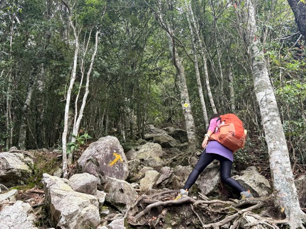 鳶嘴山+稍來神木 202508302873850