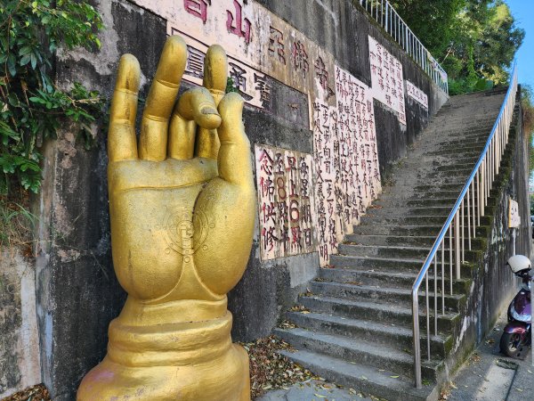 小百岳No.42⛰南觀音山2924855