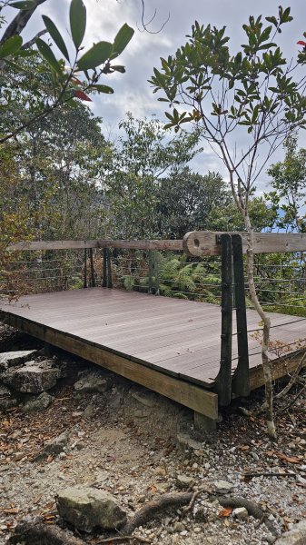 【中級山經典：水社大山、水社主峰】🥾4小時53分的征途，汗水與意志的考驗。2982569