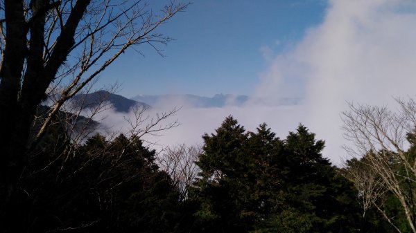 20190124太平山見晴懷古步道512476