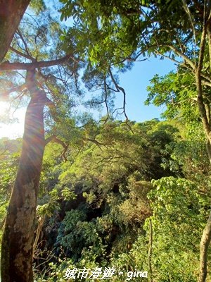 【台中北屯】大坑9-1x9號步道小O繞2945940