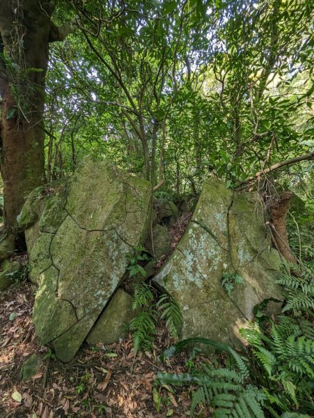 112.05.01走遍陽明山尋寶任務之紗帽山步道2138973