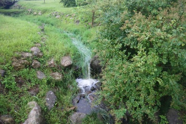 小百岳NO.14 深坑土庫岳。更寮古道 山豬窟尖，小南港山，南港山水綠生態公園2258380