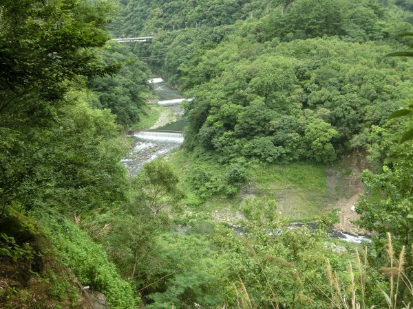 拉拉山神木群．巴陵古道620903