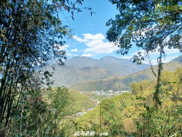【南投埔里】天旨宮鰲頭山步道x虎頭山鯉魚潭步道x虎頭山觀景平台連走2988491