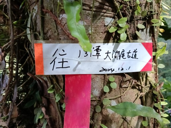 雙溪區大湖尾古道+灣潭古道O型2874791