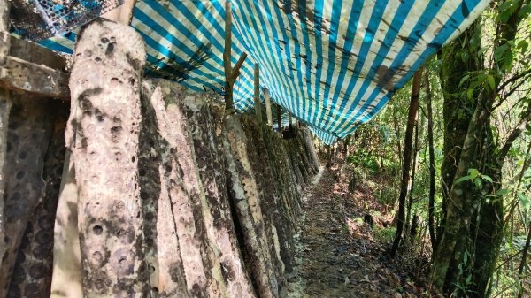 雙溪區竹子山-南勢坑山去回3077215