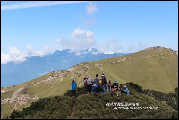 合歡東峰賞玉山杜鵑341051